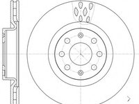 Disc frana 6982 10 ROADHOUSE pentru Fiat Punto Opel Corsa