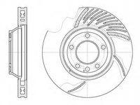 Disc frana AUDI Q7 4L ROADHOUSE 6769.11