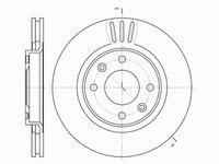 Disc frana CITROEN BERLINGO MF ROADHOUSE 6603.1