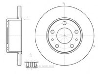 Disc frana IVECO DAILY III platou / sasiu (1999 - 2006) REMSA 61202.00 piesa NOUA