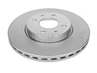 Disc frana LANCIA DEDRA (835), LANCIA DEDRA SW (835), FIAT PUNTO (188) - MEYLE 215 521 0022/PD