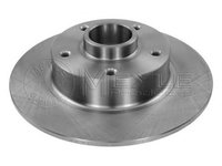 Disc frana punte spate RENAULT MASTER III platou/sasiu (EV, HV, UV) - OEM - MAXGEAR: 19-1973 - W02747786 - LIVRARE DIN STOC in 24 ore!!!