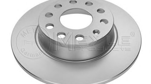 Disc frana punte spate VOLKSWAGEN JETTA IV (1