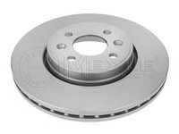 Disc frana RENAULT LAGUNA I I (B56_, 556_), RENAULT LAGUNA I Estate (K56_), RENAULT MEGANE I (BA0/1_) - MEYLE 16-15 521 0004/PD