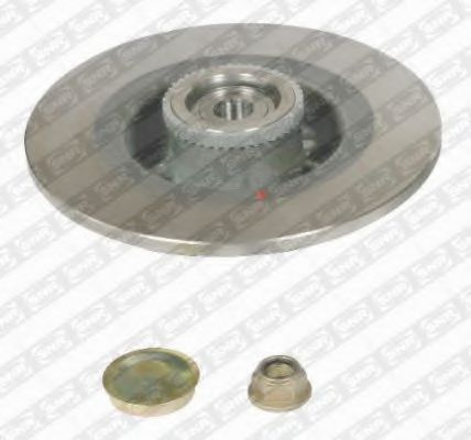 Disc frana RENAULT SCÉNIC I (JA0/1_) (1999 