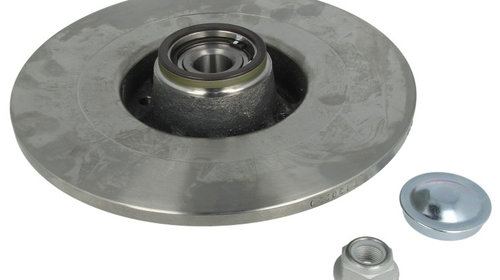 Disc Frana Spate Dreapta / Stanga Delphi Renault Megane 2 2001-2012 BG9032RS