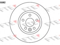 Disc frana VOLVO S80 II limuzina (AS), FORD GALAXY (WA6), FORD S-MAX (WA6) - FTE BS5562