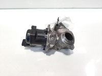 EGR, Citroen Berlingo 2, 1.6 HDI, 9HZ (idi:484332)