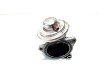 EGR, cod 038131501AN, Seat Altea XL (5P5, 5P8), 1.9 TDI, BKC (idi:516136)