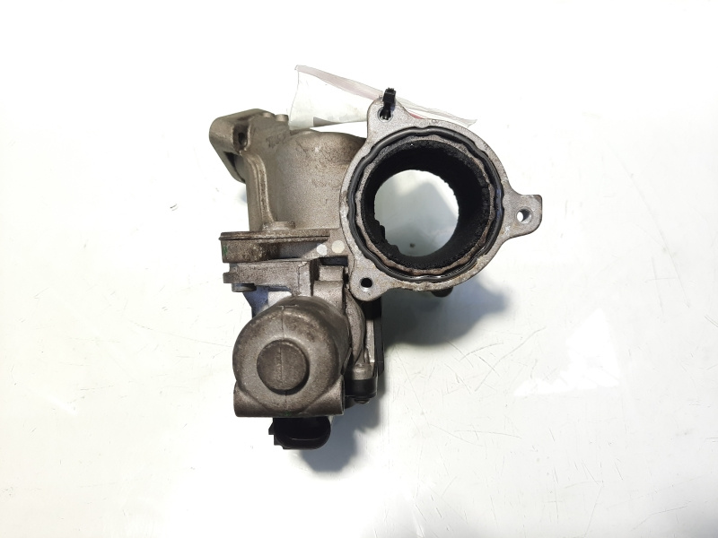 EGR, cod 03G131501N, VW Jetta 3 (1K2), 1.9 TDI, BLS (idi:469023)