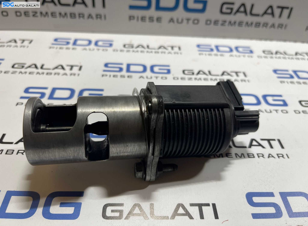 EGR Dacia Logan 1 1.5 DCI 2004 - 2012 Co