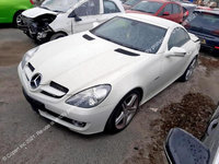 EGR electric Mercedes-Benz SLK-Class R171 [facelift] [2008 - 2011] Roadster SLK 200 AT (184 hp)