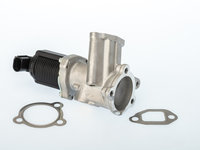 EGR FIAT QUBO (225_) 1.3 D Multijet (225CXB1A, 225AXB1A, 225CXB11, 225AXB11,... 75cp WAHLER WA710949D/1 2008