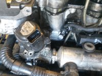 Egr ford focus 1,6 tdci an 2005