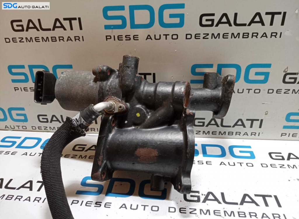 EGR Opel Corsa C 1.7 CDTI 2000 - 2006 Co