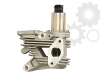 EGR RENAULT GRAND SCENIC II, LAGUNA II, MEGANE II, SCENIC II 1.9 11.02-