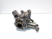 Egr, Renault Megane 2, 1.9 DCI, F9Q (id:558890)