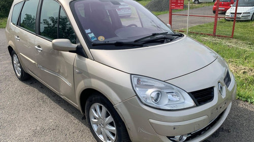 EGR Renault Scenic 2 2008 MONOVOLUM 2.0 DCI