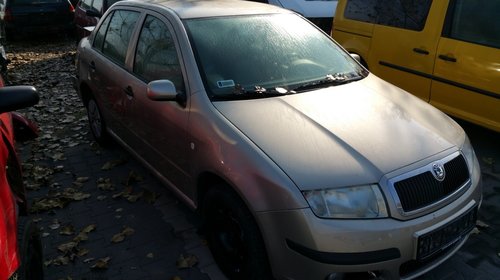 EGR Skoda Fabia 2006 Berlina 1198 benzina