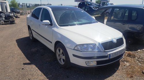 EGR - Skoda Octavia 2 - 2006 - 1.9diesel - ti