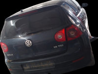Egr Volkswagen VW Golf 5 [2003 - 2009] Hatchback 5-usi 1.9 TDI 5MT (105 hp)