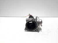 Egr, Vw Golf 5 Plus (5M1) 1.9 TDI, BXE (idi:592989)