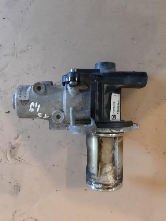 EGR VW T5 1.9 TDI 2006 tip motor BRR