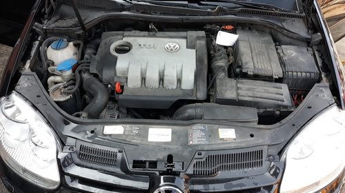 Electromotor Volkswagen Golf 5 2006 hatchback 1.9 tdi Cod motor BLS