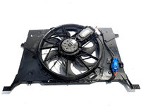 Electroventilator cu releu, cod A1695050255, Mercedes Clasa B (W245), 2.0 CDI, OM640940 (idi:515370)