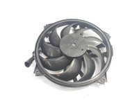 Electroventilator, Peugeot 307, 1.6 hdi, 9HX (id:624961)