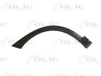 Elemente decorative/protectie, aripa OPEL CORSA C (F08, F68) (2000 - 2009) BLIC 5703-04-5023598P