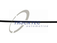 Elemente decorative/protectie, geamuri portiera exterior (0254018 TRUCKTEC) MERCEDES-BENZ