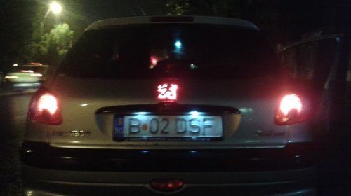 Emblema Speciala Cu Leduri Pentru Peugeot 206/207 (Transparenta)