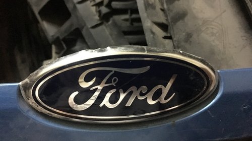 Embleme , sigle Ford spate si fata. Bara fata si haion.