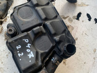 Epurator gaze Peugeot 407 2.2 hdi diesel