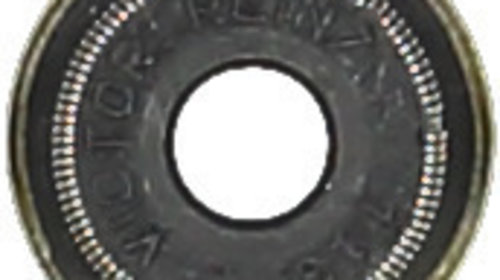 Etansare, supape (703422300 REI) BUICK,CHEVRO