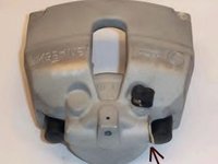 Etrier frana ALFA ROMEO 156 (932), LANCIA LYBRA (839AX), ALFA ROMEO 156 Sportwagon (932) - HELLA PAGID 8AC 355 389-341