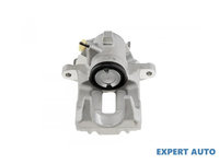 Etrier frana spate Volkswagen Passat B5(1996-2005) #1 8E0615423A