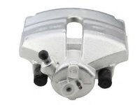 Etrier frana VW TOURAN (1T1, 1T2), AUDI A3 (8P1), VW RABBIT V (1K1) - HELLA PAGID 8AN 355 441-411