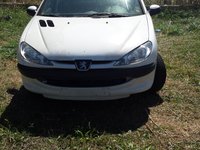 Faruri Peugeot 206 din 2002