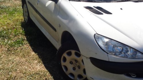 Faruri Peugeot 206 din 2002