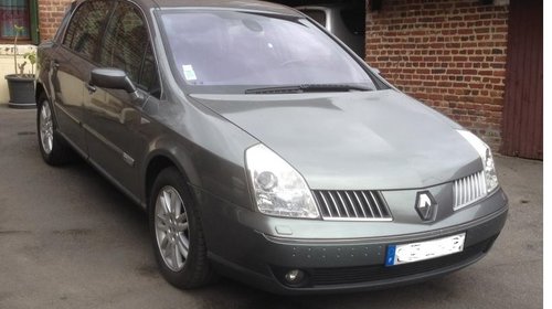 Faruri Renault Vel Satis 2005