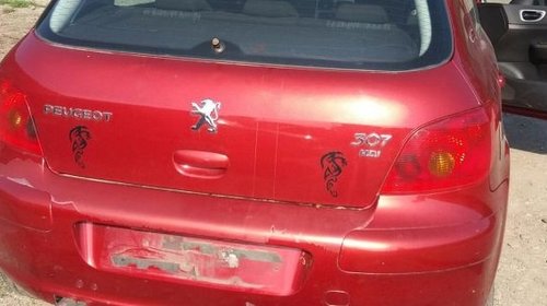 Faruri / Triple Peugeot 307 an 2003