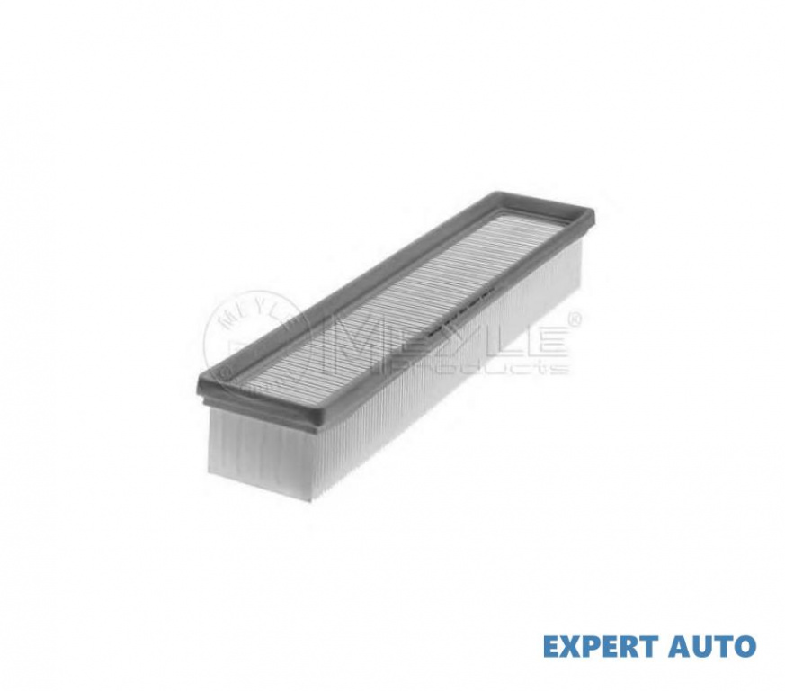 Filtru aer Dacia LOGAN EXPRESS (FS_) 2009-2016 #2 