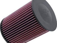 Filtru aer FORD C-MAX DM2 K&N Filters E-2993