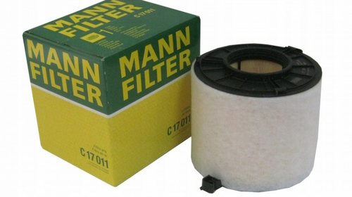 Filtru Aer Mann Filter C17011