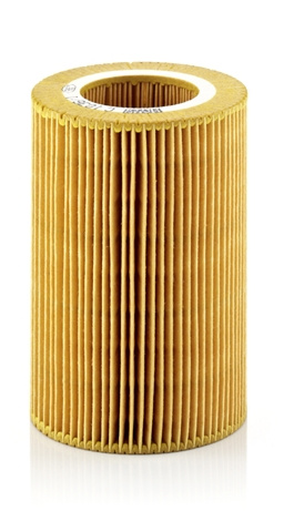 Filtru Aer Mann-filter Smart C 1036/1