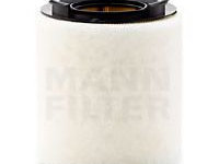 Filtru aer VW POLO (6R, 6C) (2009 - 2020) MANN-FILTER C 15 008