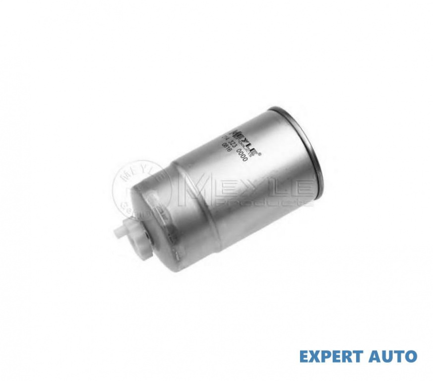 Filtru combustibil Citroen RELAY platou / sasiu (2