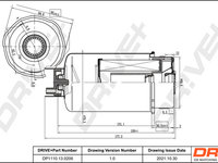 Filtru combustibil (DP1110130206 DRIVE) FORD,LDV